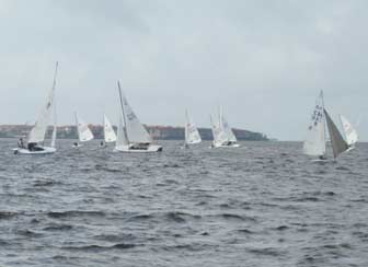 Small Sailboat Fleets