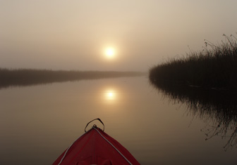 Sunrise over the bayou